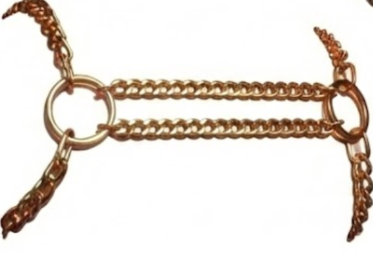 CHARLIE X CHAIN HARNESS THE DEN CODE - DEN 13